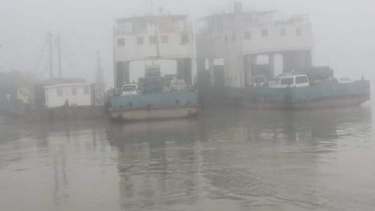 দৌলতদিয়া-পাটুরিয়া নৌরুটে ফেরি চলাচল বন্ধ