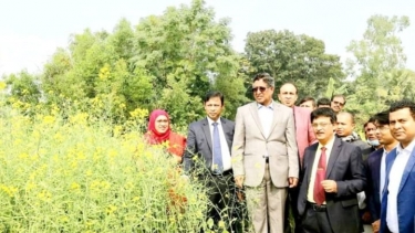 ‘ভোজ্যতেল আমদানি করতে বছরে ২৫ হাজার কোটি টাকা ব্যয় হয়’